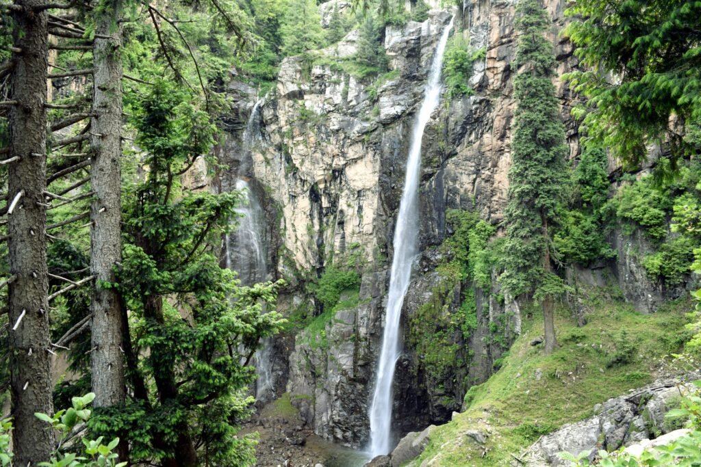 manali 4